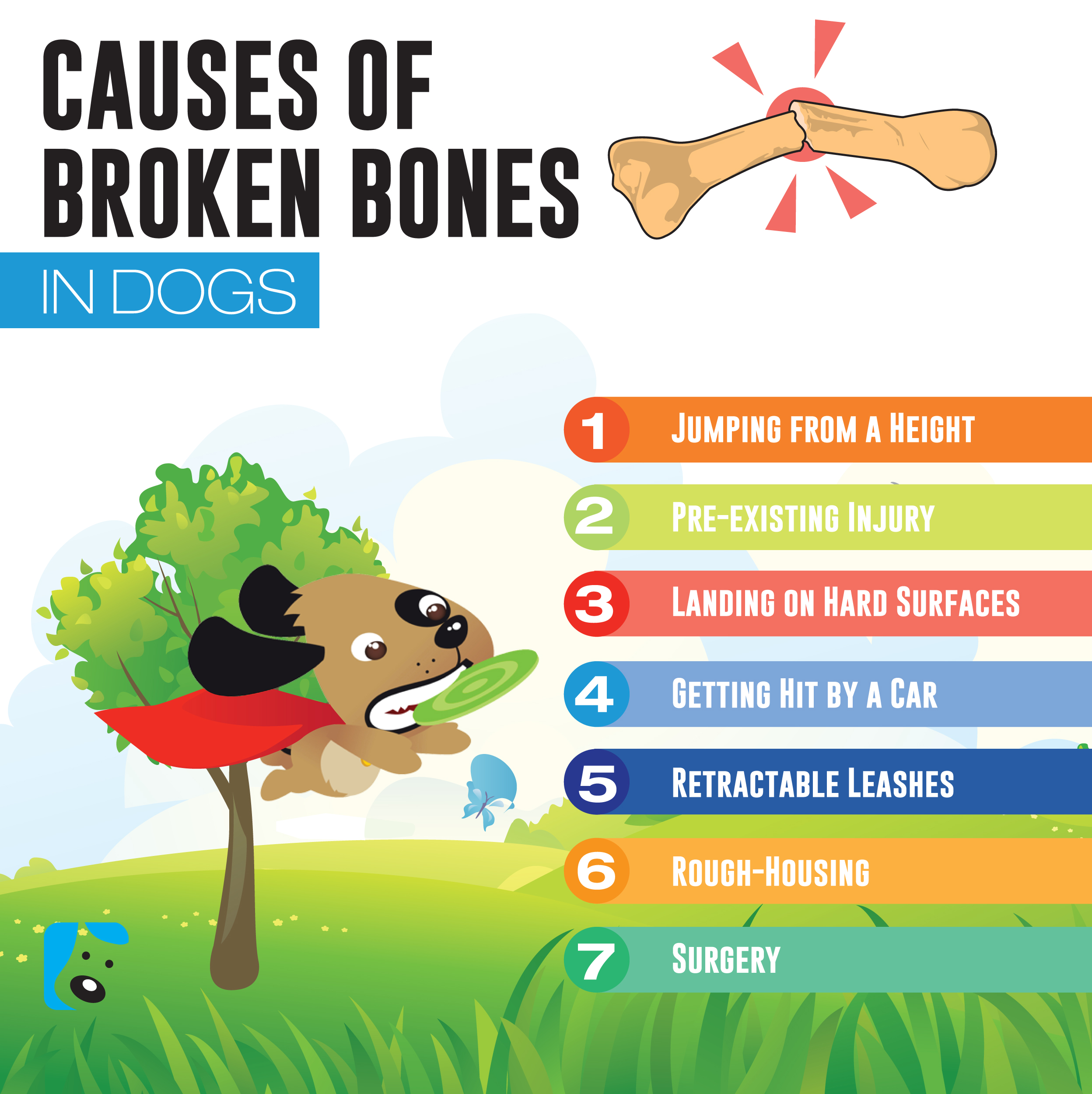 Broken Bones Dog