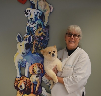 Meet The Team | Veterinarian in Grand Haven, MI | Robbins ...